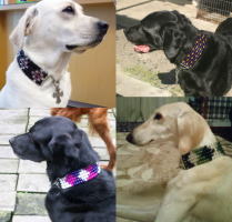 ○○○○○○○○イメージ