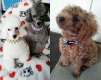 ○○○○○○○○イメージ